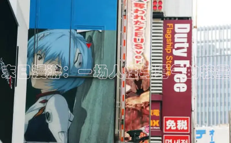 51动画网页版官网