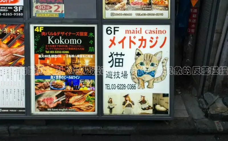 51动画网页版官网