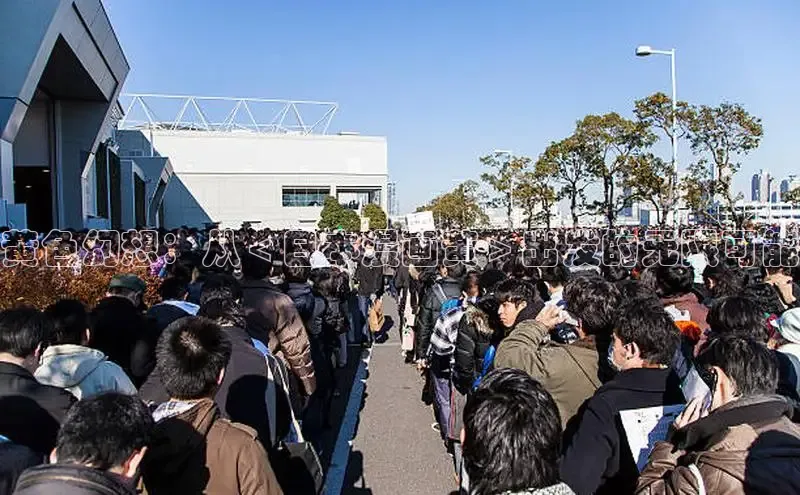 51动画网页版官网